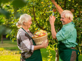 old couple is picking apples 2021 08 31 13 52 01 utc scaled